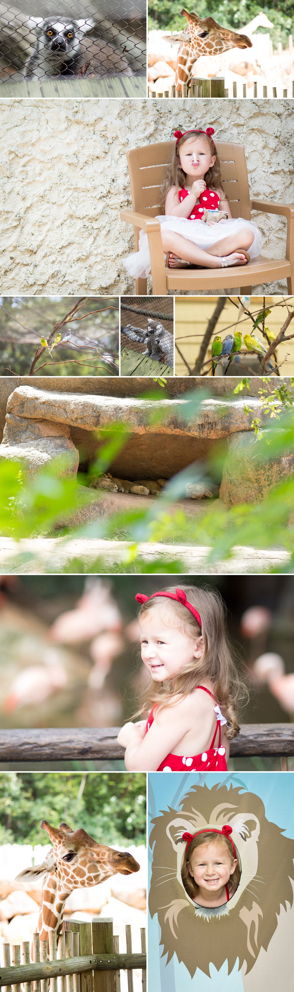 Jina Lee Photography | Atlanta Children's Photographer